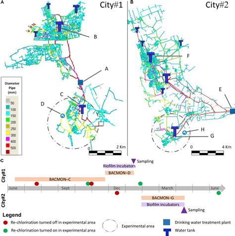 Frontiers | Reduced Chlorine in Drinking Water Distribution Systems Impacts Bacterial ...