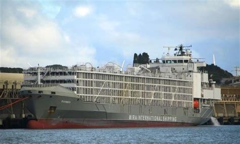 Two NZers on board missing livestock carrier | RNZ