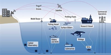 A new ocean action agenda requires more, better ocean data | World Economic Forum