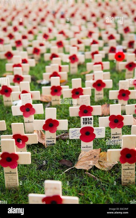 Poppies remembrance Sunday Stock Photo - Alamy