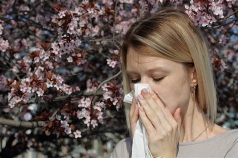 Prepare for pollen: Allergy sufferers should get ready for spring now ...