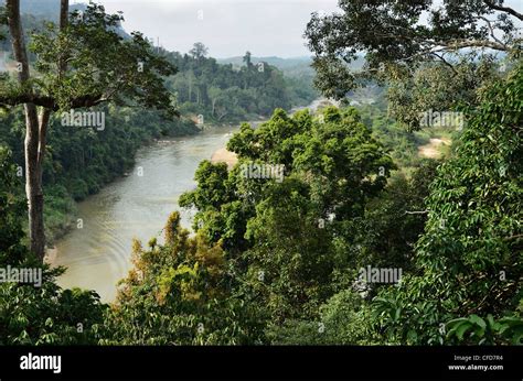 Sungai Tembeling, Taman Negara National Park, Pahang, Malaysia, Asia ...