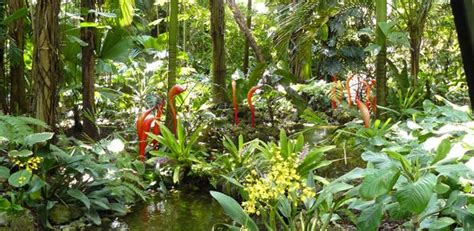 World's botanic gardens contain a third of all known plant species, and help protect the most ...