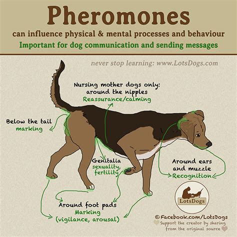 Pheromones