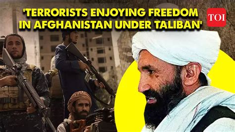 Taliban has not taken any step to curb activities of foreign terrorists ...