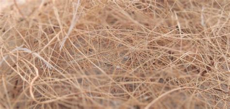 Jute fiber - fibers stock photo. Image of fibers, bast - 191865142