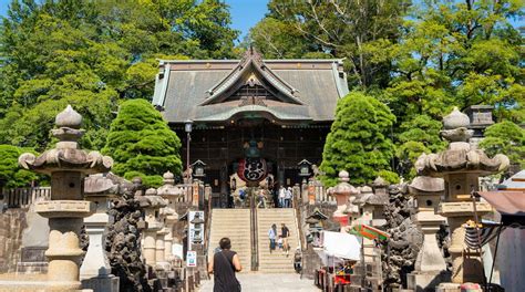 Narita Tourist Pavilion Tours - Book Now | Expedia