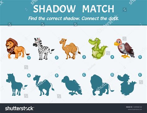 Wild Animals Set Find Correct Shadow Stock Vector (Royalty Free ...