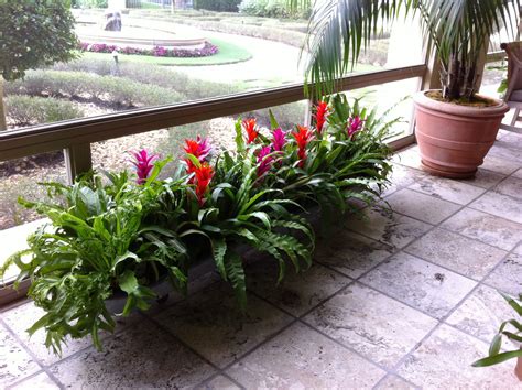 Bright bromelaids add a burst of color on this Palm Beach veranda overlooking a gorgeous ...