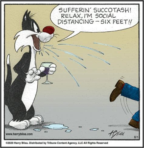 Bliss: Sylvester | Cartoon strip, Funny puns, Funny pictures