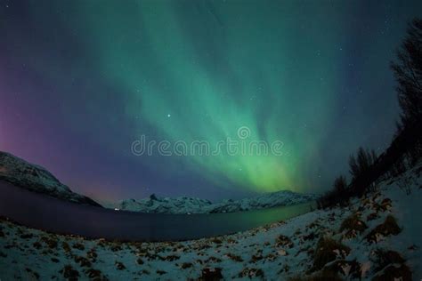 Aurora Borealis Over Tromso Stock Photo - Image of houses, dock: 66111370