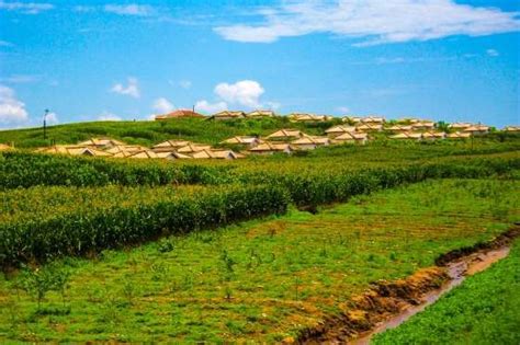 North Korean countryside - chintung/Getty Images | North korea, Korean countryside, Countryside