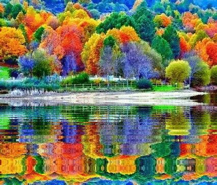 fall reflections Autumn Lake, Autumn Scenery, Autumn Trees, Autumn Forest, Beautiful World ...