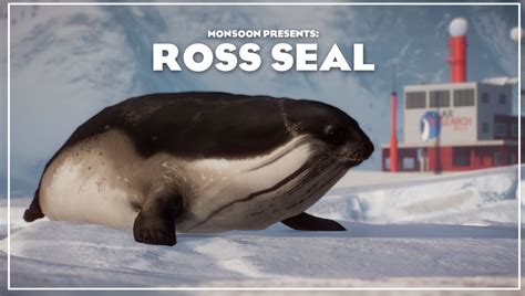 Ross Seal - New Species V1.13 | Planet Zoo Mod Download