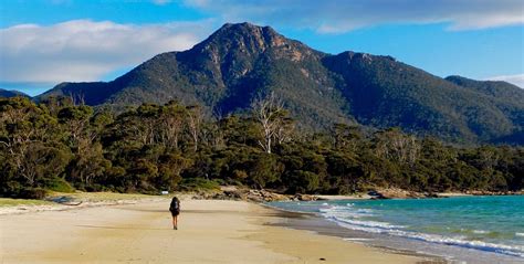 Hiking the Freycinet Peninsula Circuit: 6 Essential Things You Need to Know