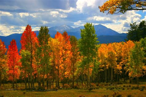 Best Places To See The Fall Colors In Colorado - Building Our Story