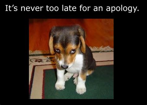 Good advice and funny animals - Gallery | eBaum's World