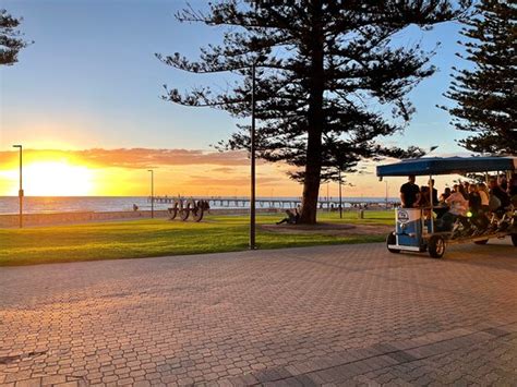 Great Beach Area - Glenelg Beach, Glenelg Traveller Reviews - Tripadvisor