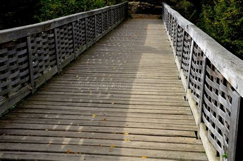 Medieval Oak Wood, Bolted. Bridge Over the Moat Stock Image - Image of wood, drone: 258797077