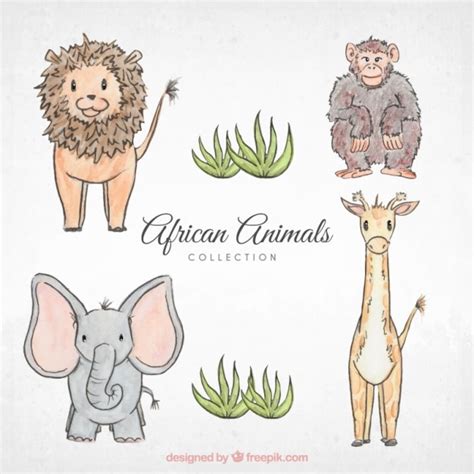 Sketches african animals | Free Vector