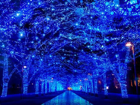 Las mejores luces de Navidad en Japón 2024 - Japan Rail Pass