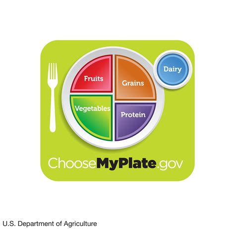 Food pyramid | Origins, History, Variations, Debates, & Facts | Britannica