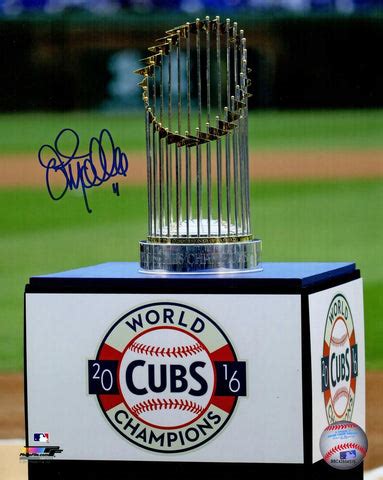 Looking Back: The Rich History of Chicago Cubs Sports Memorabilia ...