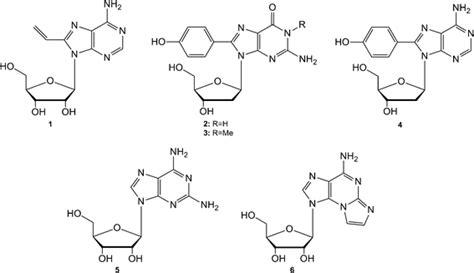 Purine Nucleosides