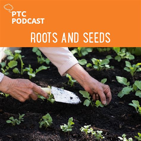 Roots and Seeds Podcast: English - Playwrights Theatre Centre