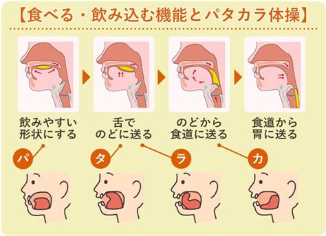 パタカラ体操2 | なかたに歯科医院 | 大阪・八尾市山本町北