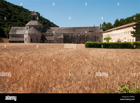 Cistercian order hi-res stock photography and images - Alamy