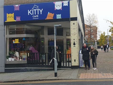 The Kitty Cafe (Nottingham) - 2019 All You Need to Know Before You Go (with Photos) - Nottingham ...