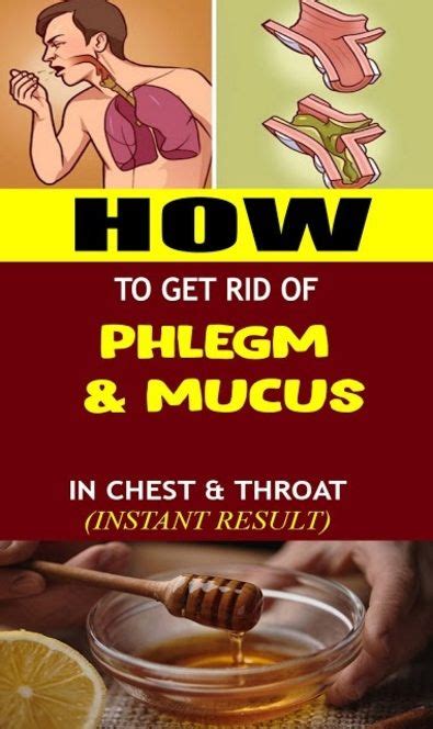 Get Rid of Phlegm and Mucus in Chest & Throat with These Home Remedies in 2020 | Getting rid of ...