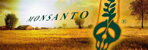 8 Reasons Monsanto is Defeating GMO Labeling Initiatives