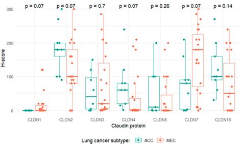 POR | Claudin expression in pulmonary adenoid cystic carcinoma and ...