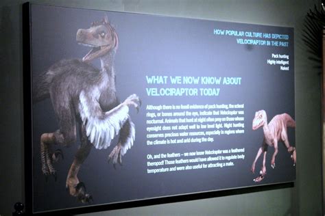 Academy of Natural Sciences at Drexel University: Dinosaurs Unearthed Exhibit