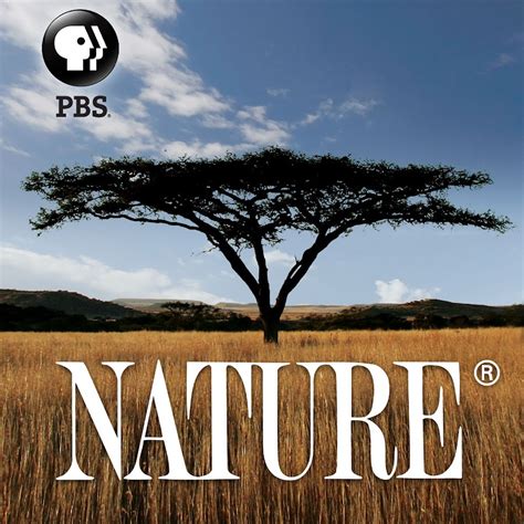 Nature TV - YouTube