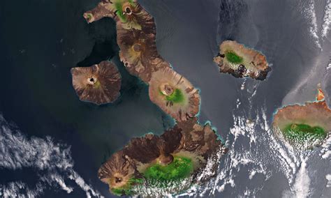 Galápagos Islands Archives - Universe Today