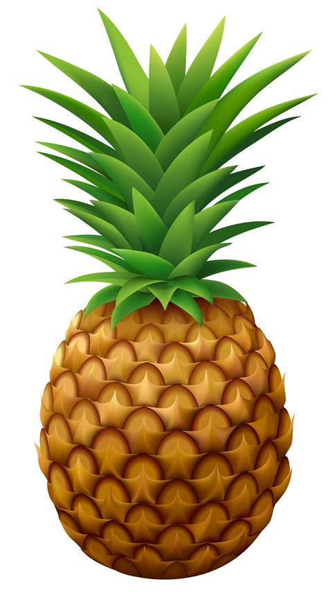 Vector Pineapple - Pineapple Clip art & Pineapple PNG image | Pineapple ...