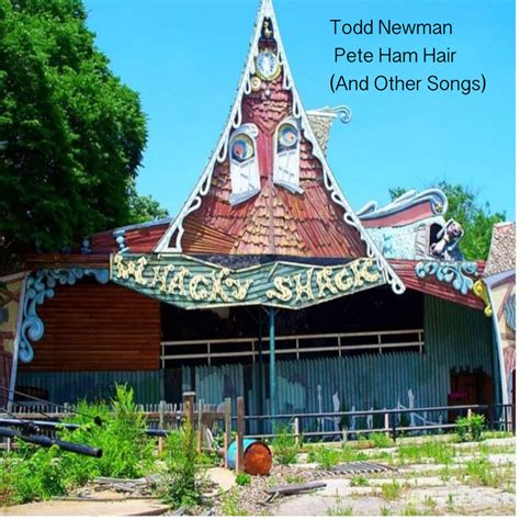 Pete Ham Hair (And Other Songs) | Todd Newman