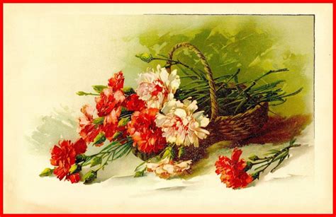 Carnation Flower Painting at PaintingValley.com | Explore collection of ...