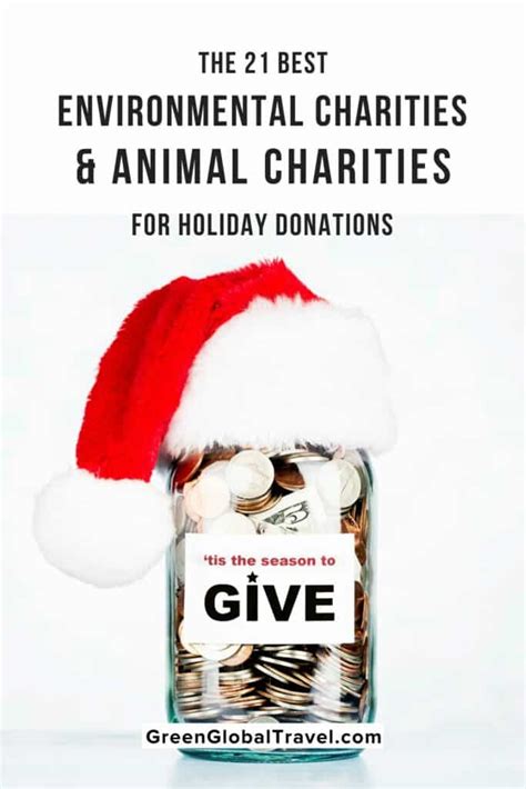 The 21 Best Environmental Charities & Animal Charities for Holiday Donations