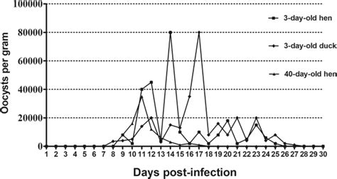 Revisiting the infectivity and pathogenicity of Cryptosporidium avium ...