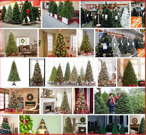 Home Depot Christmas Trees **2021 | Tree Types