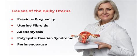 Bulky Uterus Causes , Symptoms and Treatment - Imprimis IVF