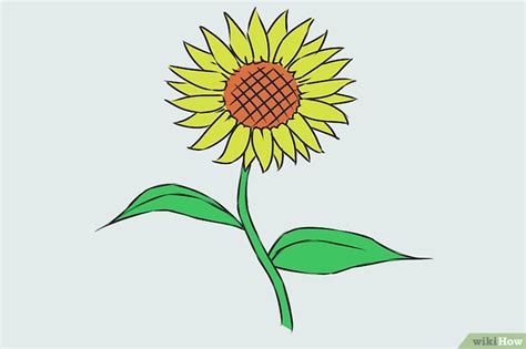 9 Formas de Desenhar uma Flor - wikiHow