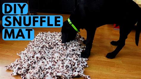 How to Make Dog Snuffle Mat DIY - YouTube