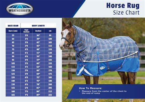 Horse Blanket Size Guide