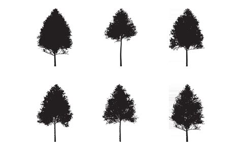 Aspen Tree silhouette set vector collection free 2429568 Vector Art at Vecteezy