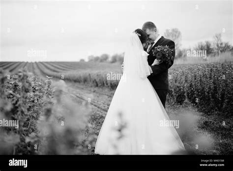Attractive young wedding couple posing on the blackcurrant field on their wedding day. Black and ...